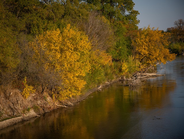 Herbst, Blätter, Bäume, Fluss, Natur