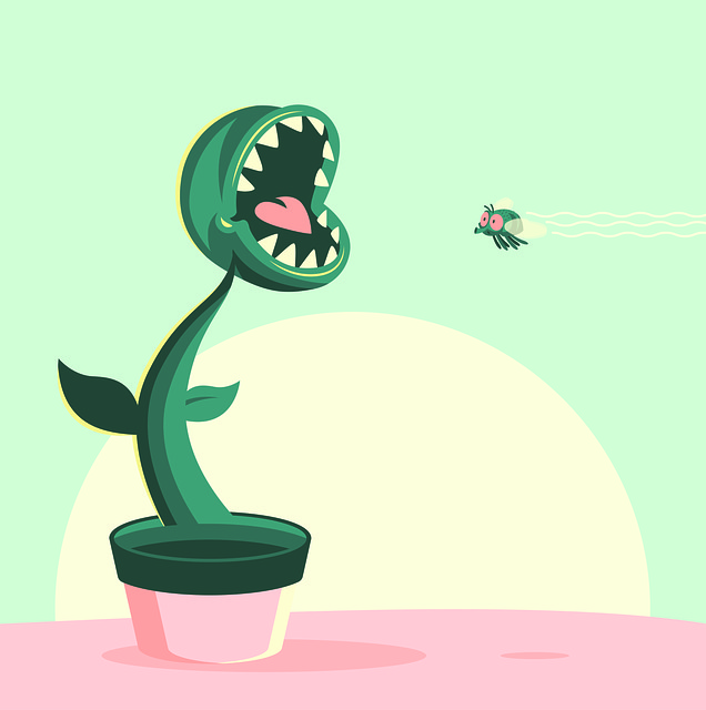 Free Plant Fly illustration and picture