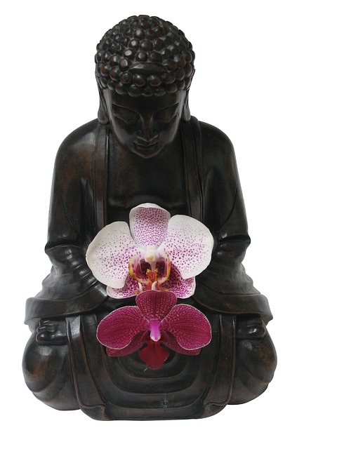 Free Buddha Orchids photo and picture