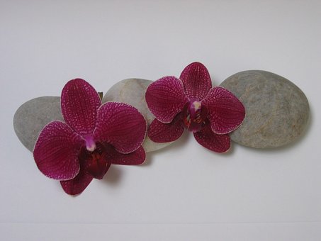 Free Peeble Stones photo and picture