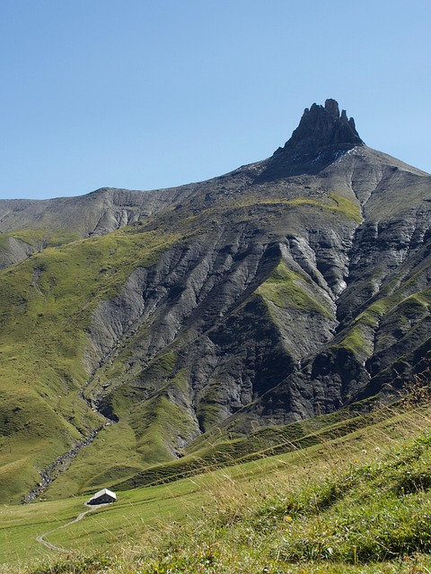 Free Mountains Alps photo and picture