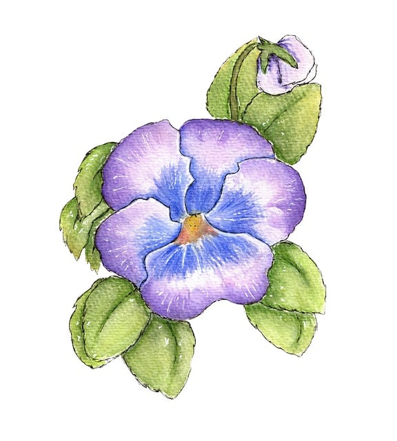 Free violet flower watercolor illustration
