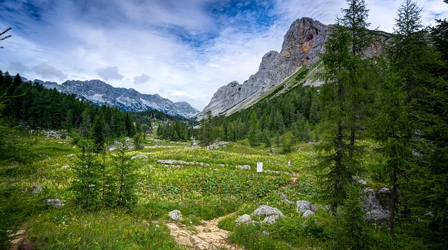Free Slovenië Lakes photo and picture