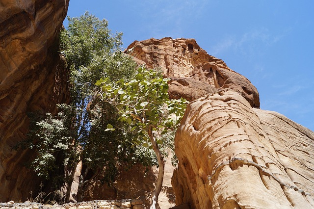 Free Petra Jordan photo and picture