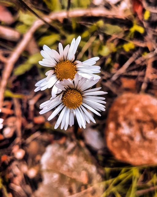 Free Yamanibrahim Ibrahimyaman Photography photo and picture