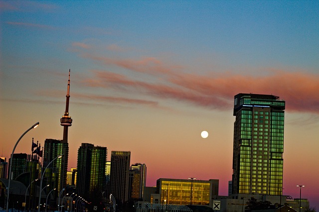 Free Cn Tower Skyline photo and picture