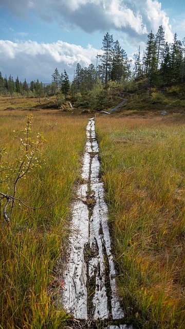 Norway, Norwegen, Skandinavien, Natur