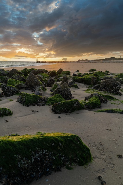 Küste, Strand, Sonnenuntergang, Sand
