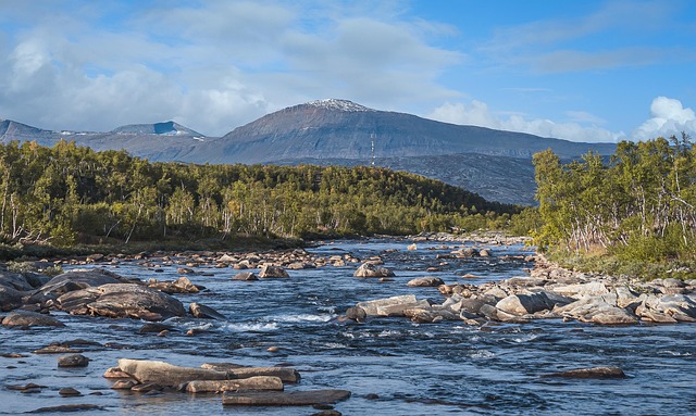 Fluss, Felsen, Berge, Sträucher, Bäume