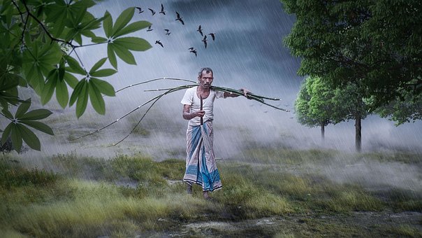 Agricultor, Prado, Lluvia, Para Caminar