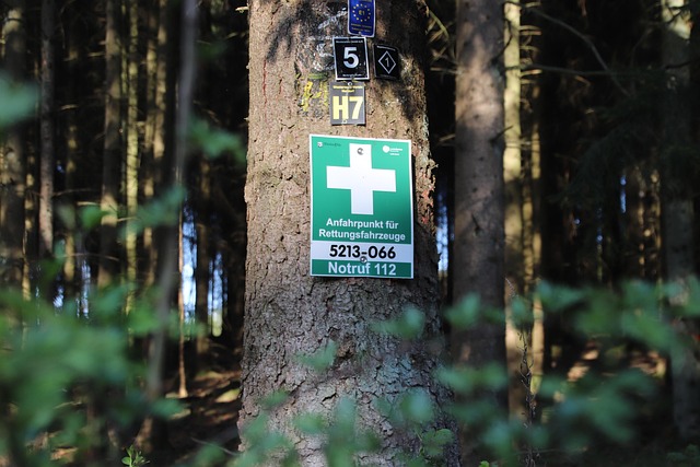 Rettungspunkt, Wald, Notfall