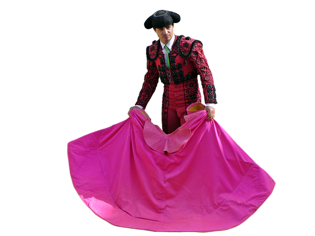 Free bullfighter arena brave illustration