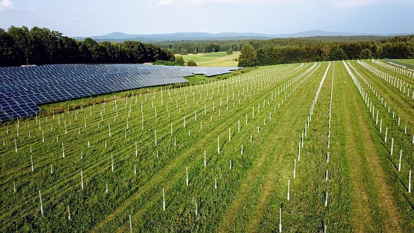 Solkraftværk, Solcellemoduler