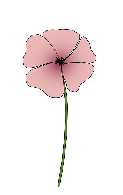 Free Flower Pink vector and picture