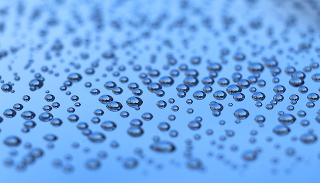 Free Drops Water photo and picture