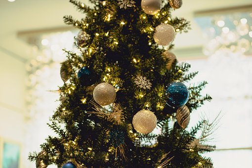 Free Christmas Tree Christmas photo and picture