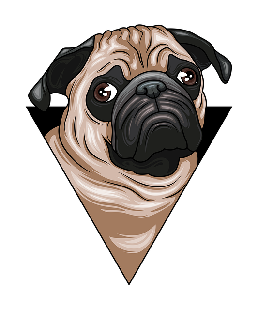 犬 パグ 子犬 Pixabayの無料画像 犬 パグ 子犬 Pixabayの無料画像
