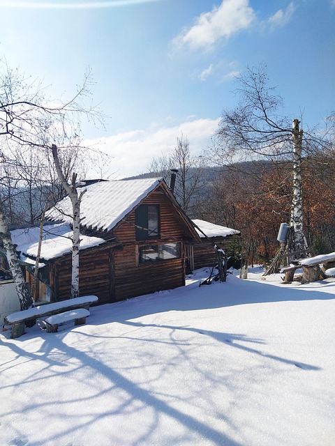 Free Winter Snow photo and picture