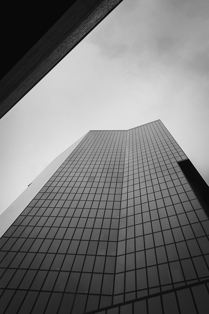 Free Black White photo and picture