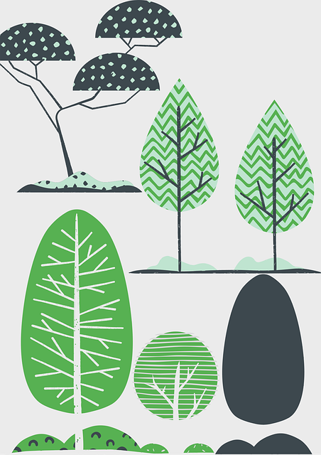 Árboles, Sale De, Naturaleza, Verde