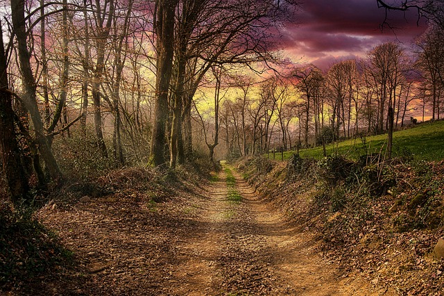 Bergpad, Natuur, Pad, Spoor, Wandelen