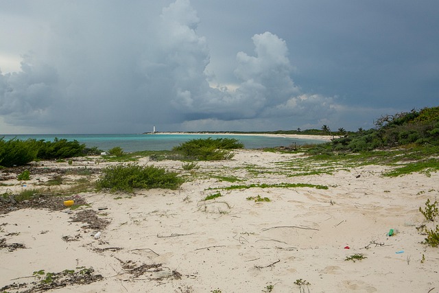 Free Beach Sand photo and picture