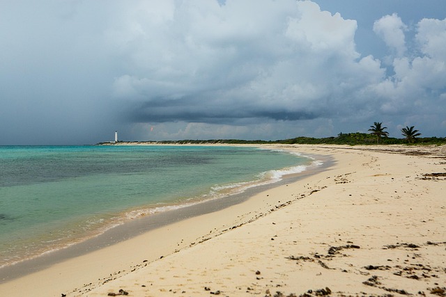 Free Beach Sand photo and picture