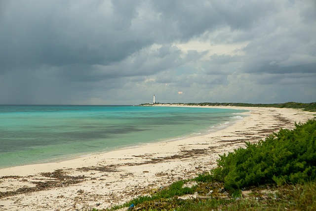 Free Sand Beach photo and picture