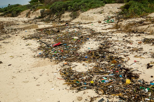 Free Trash Beach photo and picture