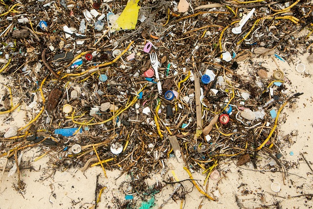 Free Trash Beach photo and picture