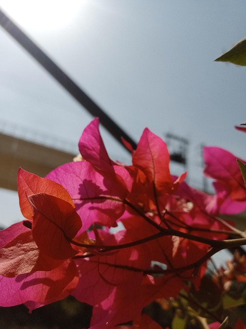 Free Nature Sky photo and picture