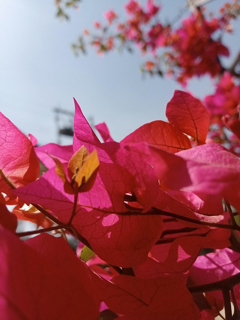 Free Nature Sky photo and picture