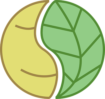 Orgânico, Skincare, Logotipo, Pele