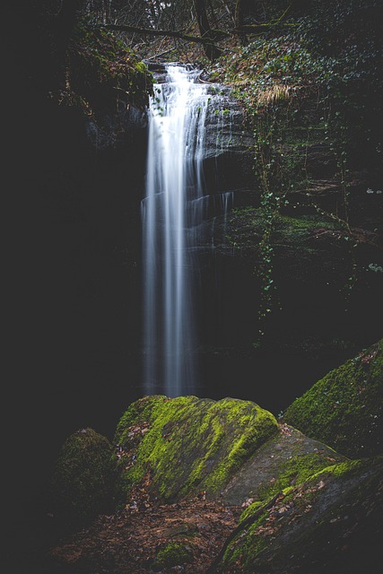 Free Waterfall Creek photo and picture