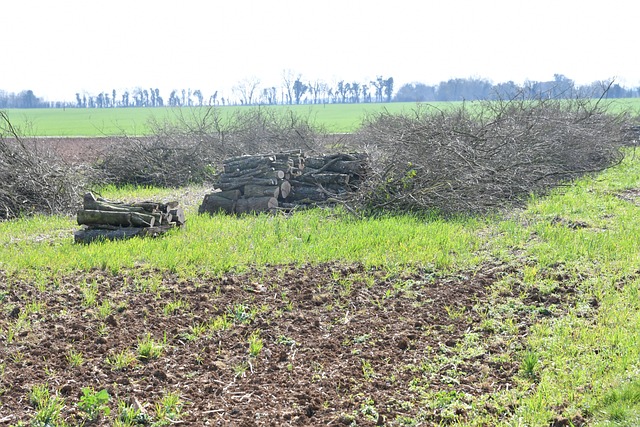 Free Field Drink photo and picture