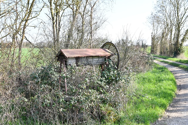 Free Wells Burr photo and picture