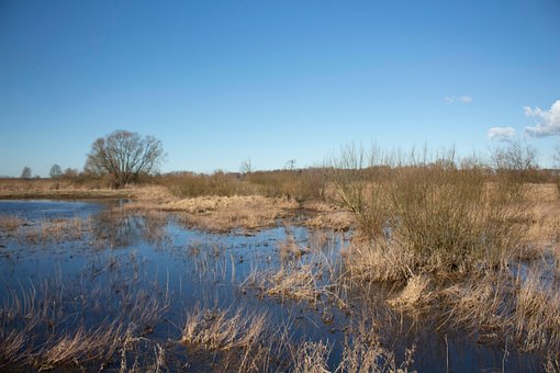 Free Early Spring Nature photo and picture
