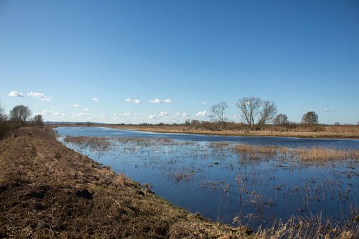 Free River Pond photo and picture