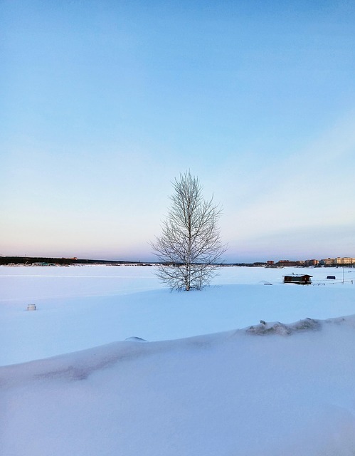 雪 冰 冬天 - Pixabay上的免费照片 - Pixabay