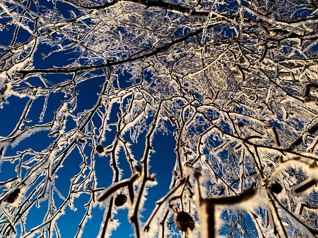 Free Winter Nature photo and picture