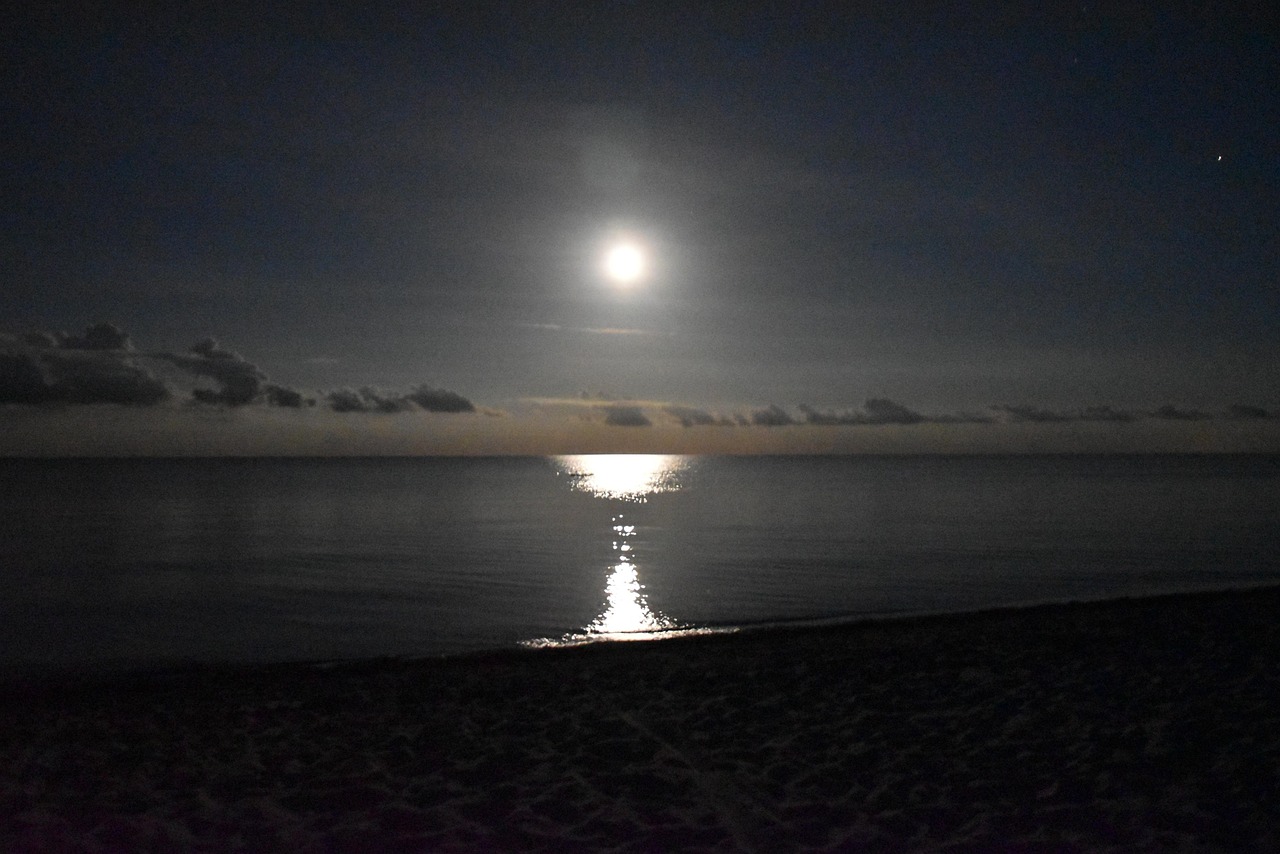 夜 月 海 - Pixabayの無料写真