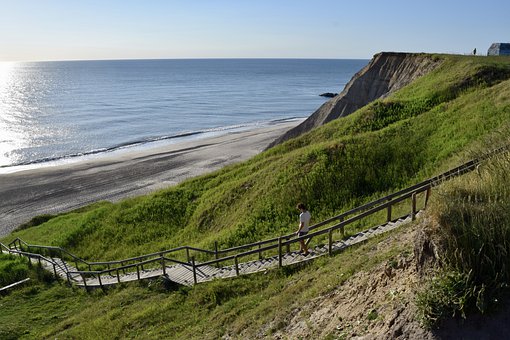 Free Denmark Landscape illustration and picture
