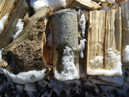 Free Thaw Snow photo and picture