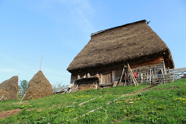 România, Natura, Transilvania, Munte