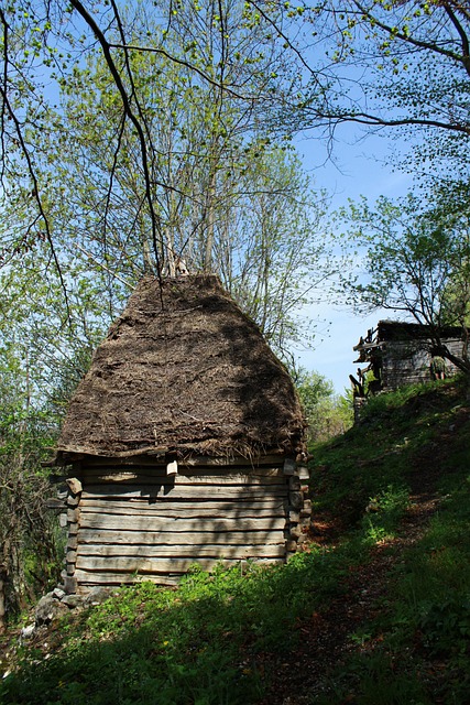 România, Natura, Transilvania, Munte