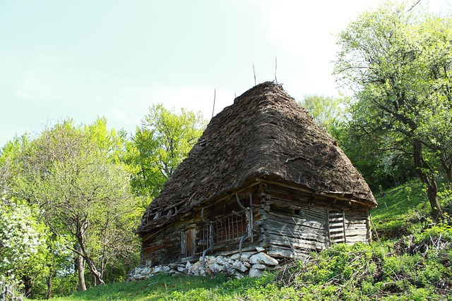România, Natura, Transilvania, Munte