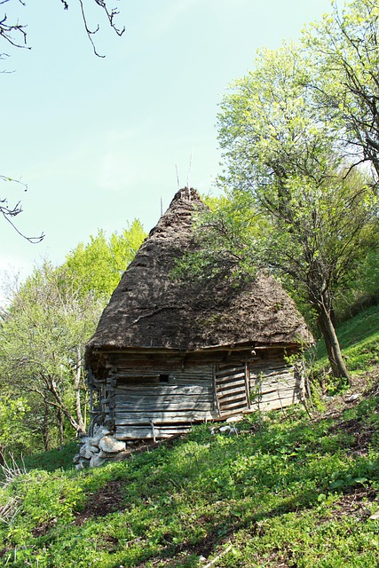 România, Natura, Transilvania, Munte