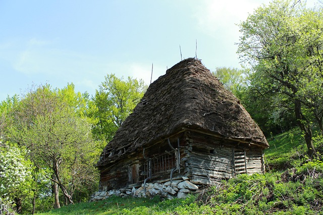 România, Natura, Transilvania, Munte
