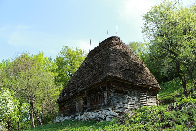 România, Natura, Transilvania, Munte