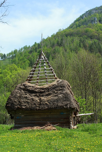 România, Natura, Transilvania, Munte